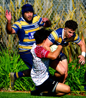 2020-03-07 SSA17 - Mens Rugby - Belmont Shores v. Pasadena